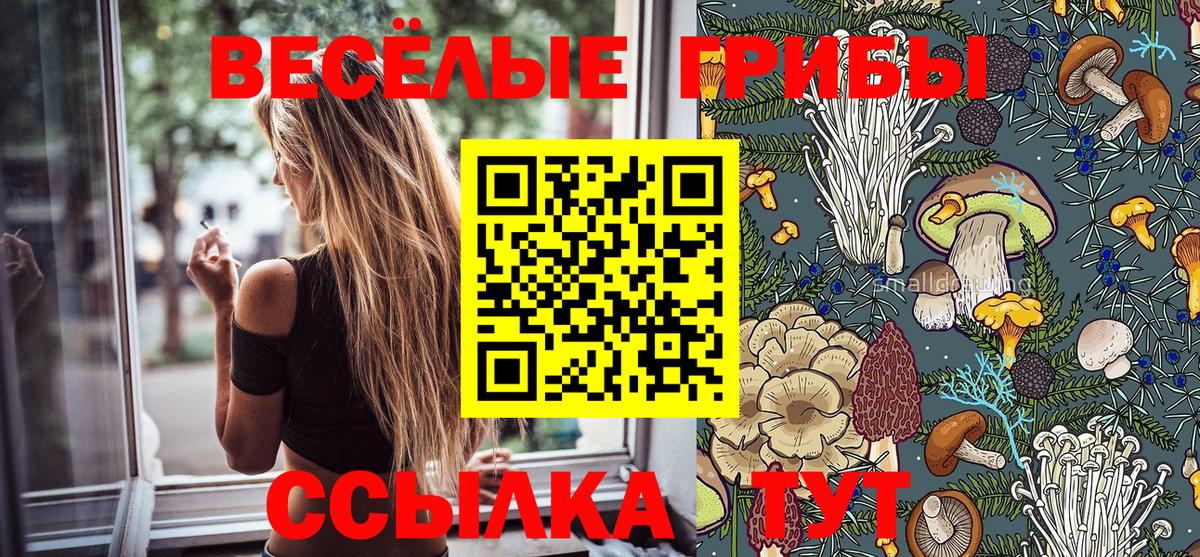 Галлюциногенные грибы мицелий Новосибирск